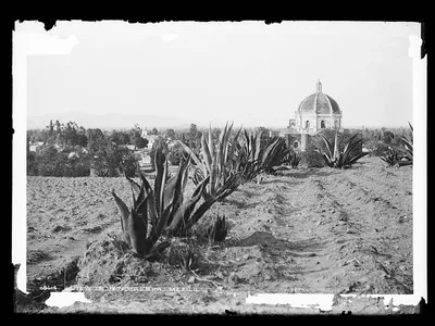View in Ixtapalapa, Mexico, Mexico, Ixtapalapa, 1880