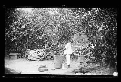 Orizaba, in a coffe [sic] grove, Orizaba, Mexico, 1880