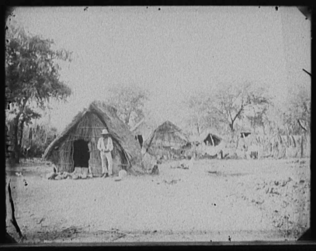 [Straw cottages in Salamanca, Mexico], Guanajuato, 1880