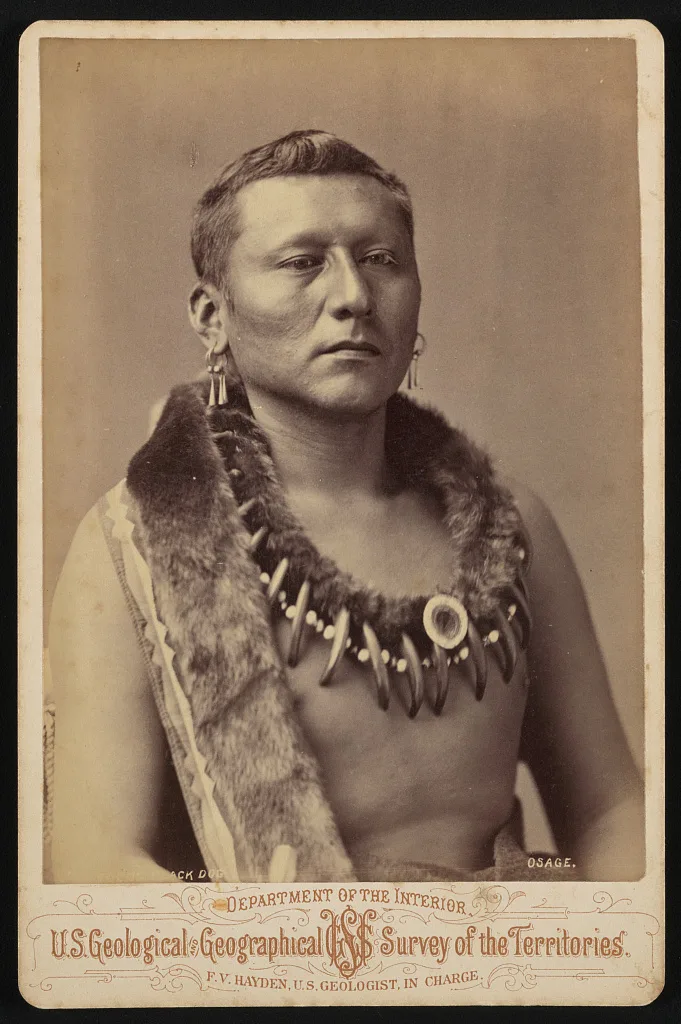 [Captain Black Dog, also known as Young Black Dog, of Co. B, 1st…, 1876